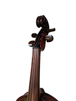 Violina 4 Vrat
